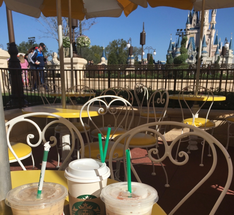 Ft._Lauderdale_Airport_Parking_Magic_Kingdom