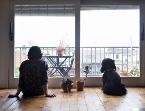 Having Fun During Self Isolation