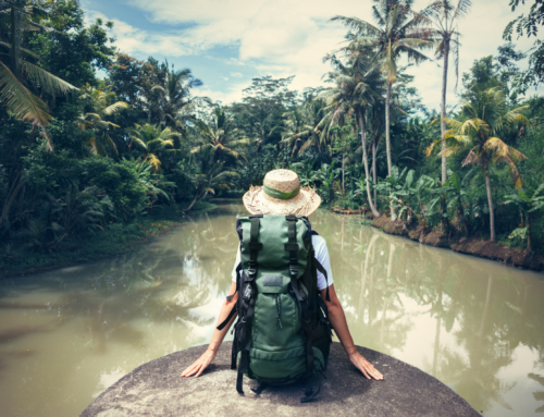 How to Prevent Mosquito-Borne Diseases while Traveling